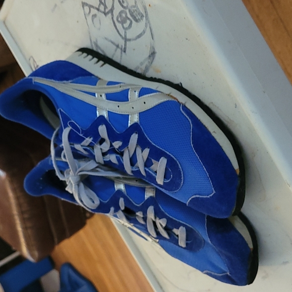 Onitsuka Tiger by Asics Other - Asics Tiger Shoes Vintage size 11 men's